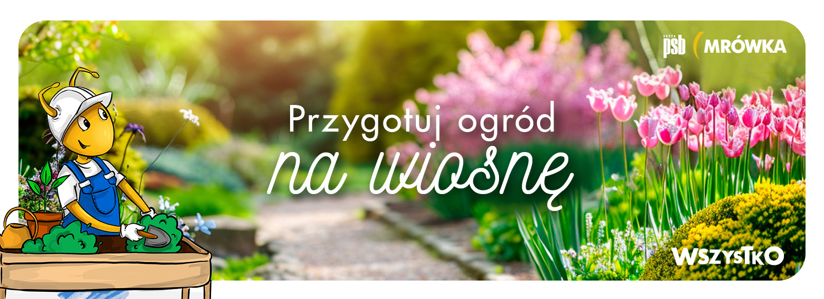 Grupa PSB mrowka PSB Mrówka Lębork