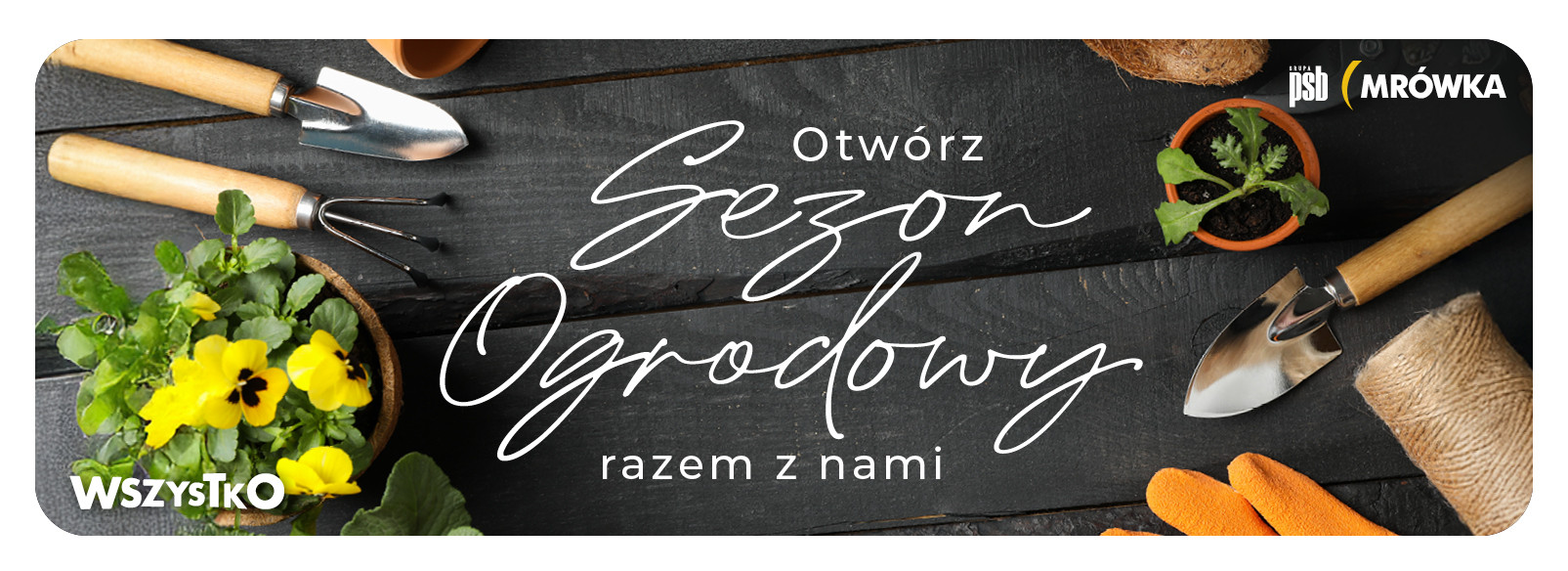 Grupa PSB mrowka PSB Mrówka Lębork